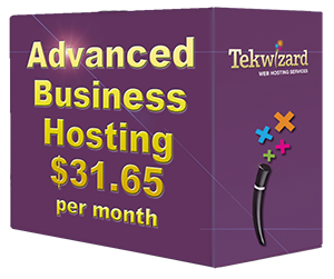 Advanced Business Hosting Package