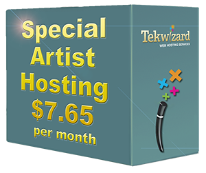 Special Artist Package