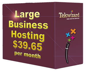 Large Business Hosting Package