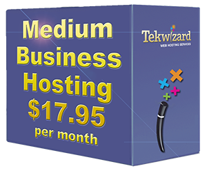 Medium Business Hosting Package