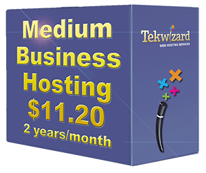 Medium Business Hosting 2 years Package